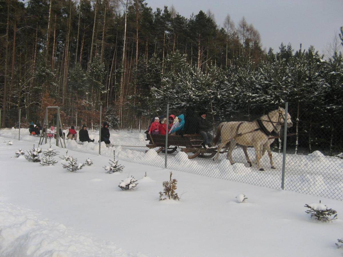 Lesny Dworek Snochowice Bagian luar foto