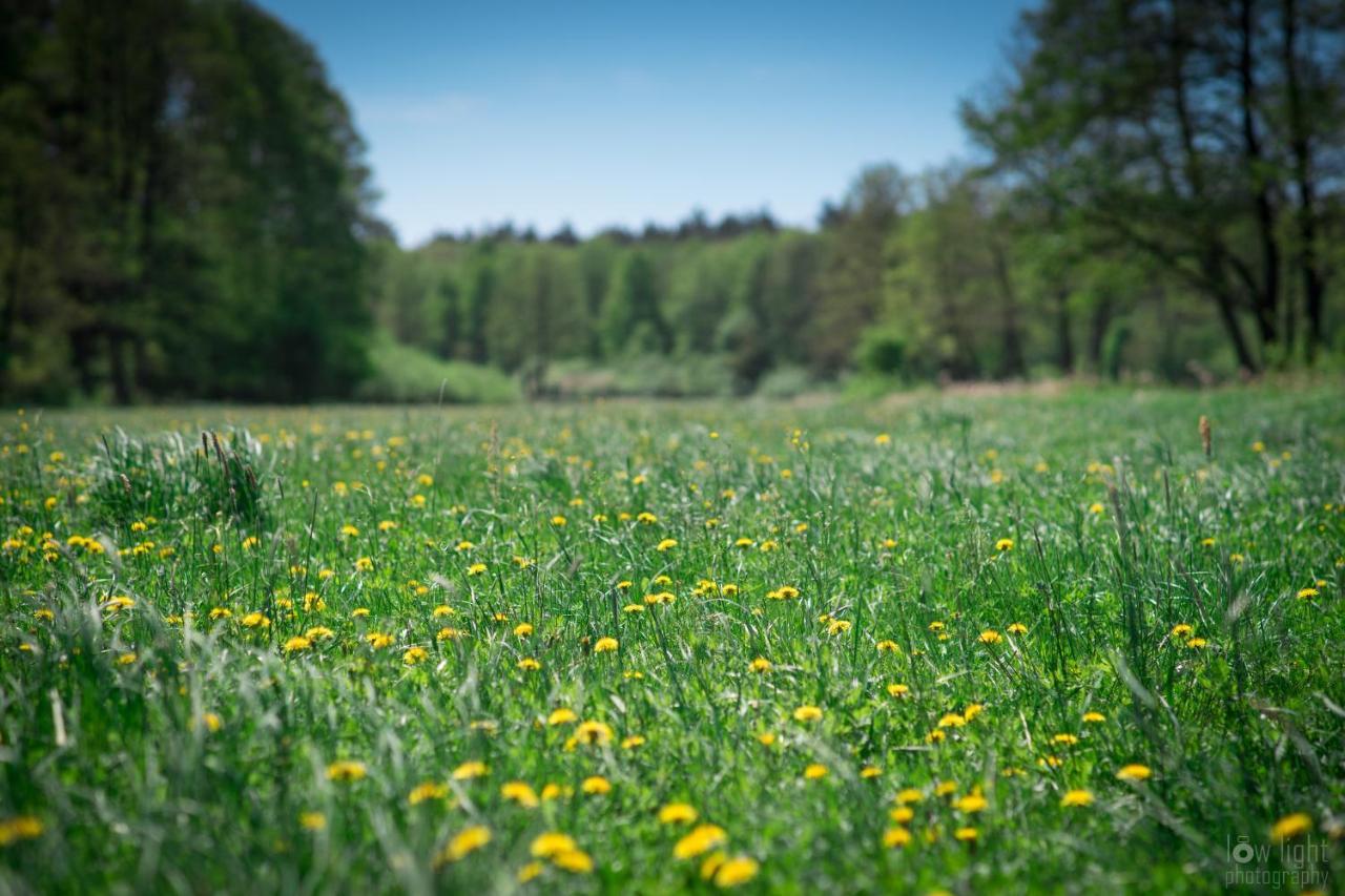 Lesny Dworek Snochowice Bagian luar foto