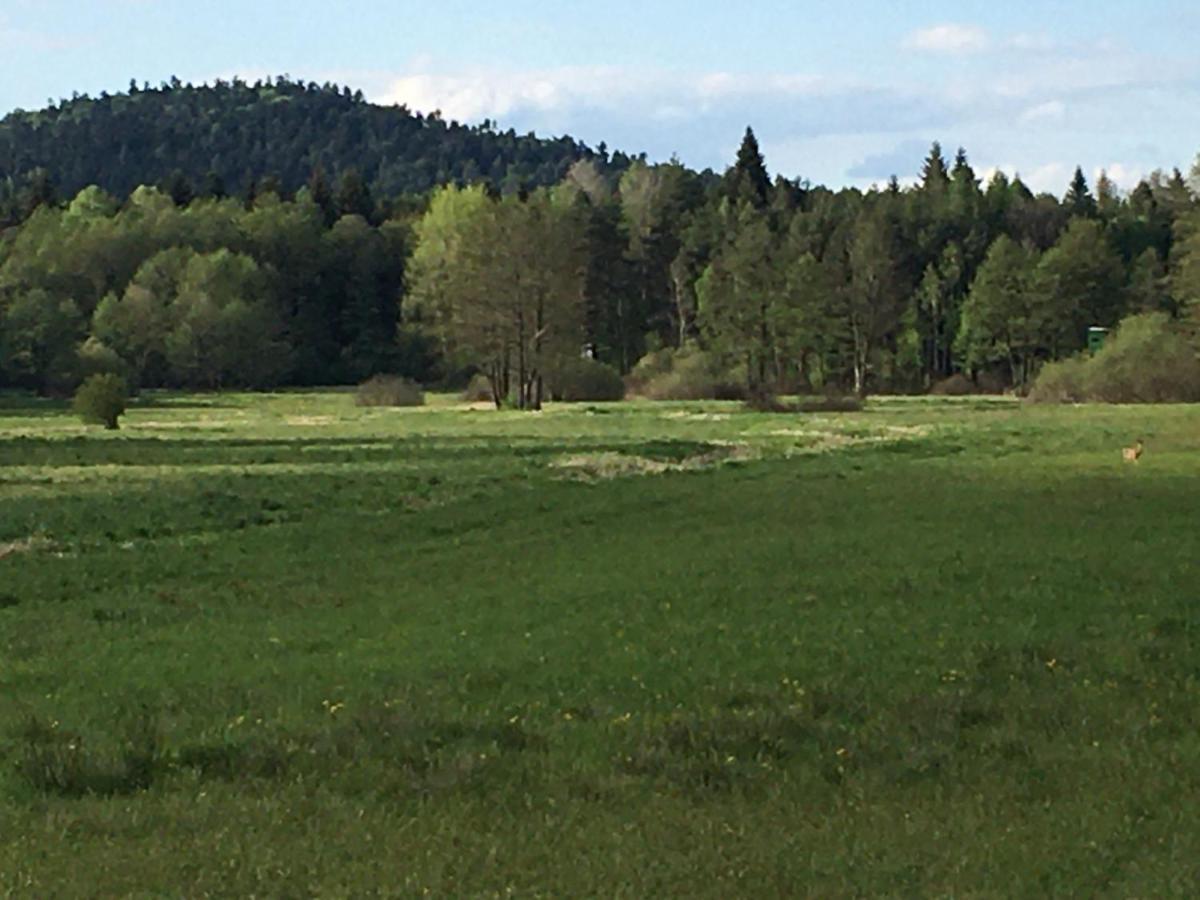 Lesny Dworek Snochowice Bagian luar foto